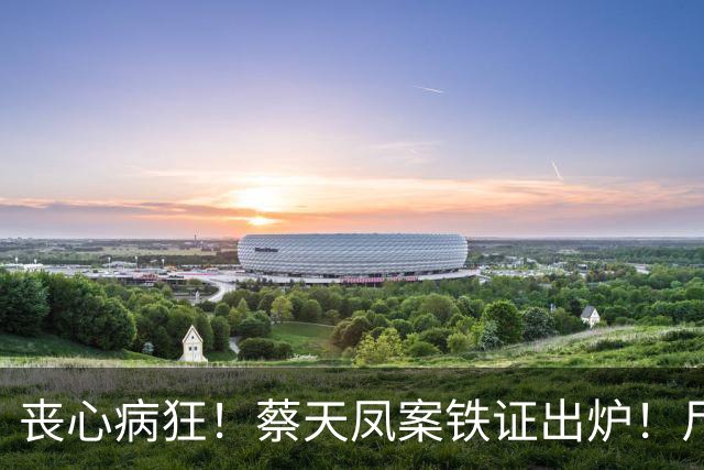 丧心病狂！蔡天凤案铁证出炉！尸体装俩箱子，躯干双手至今无踪影