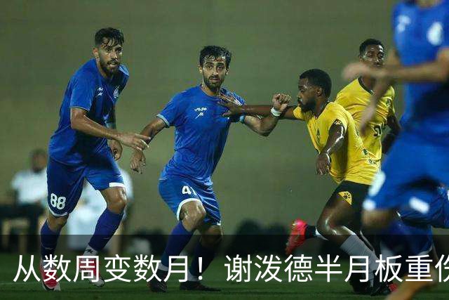 从数周变数月！谢泼德半月板重伤报销，后场彻底无人可用，真惨