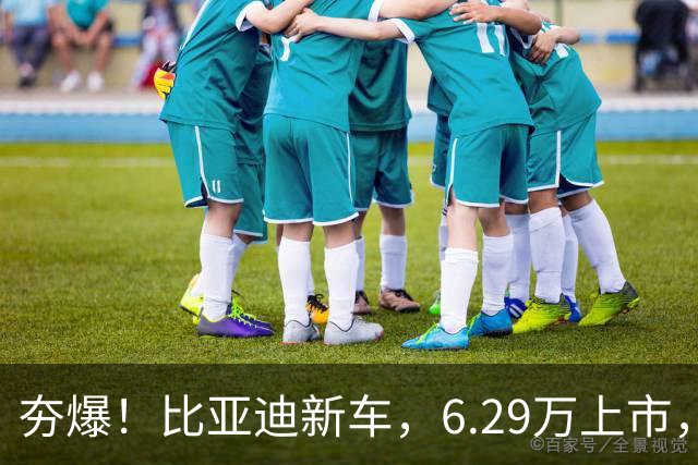 夯爆！比亚迪新车，6.29万上市，硬刚吉利星愿！