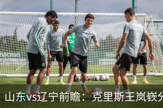 山东vs辽宁前瞻：克里斯王岚嵚分别战旧主，山东力争开门红