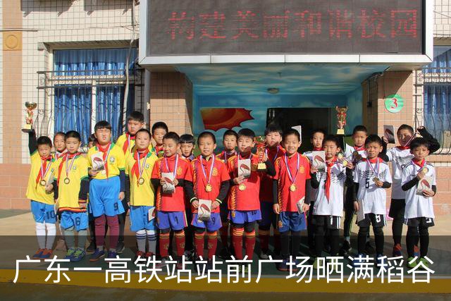 广东一高铁站站前广场晒满稻谷“治愈风”拉满，当地回应：不影响运行即可晾晒