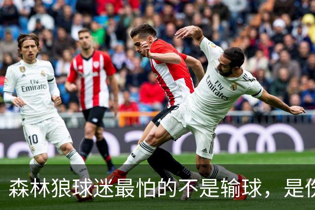 森林狼球迷最怕的不是输球，是伤病：一次投票投出了真心话