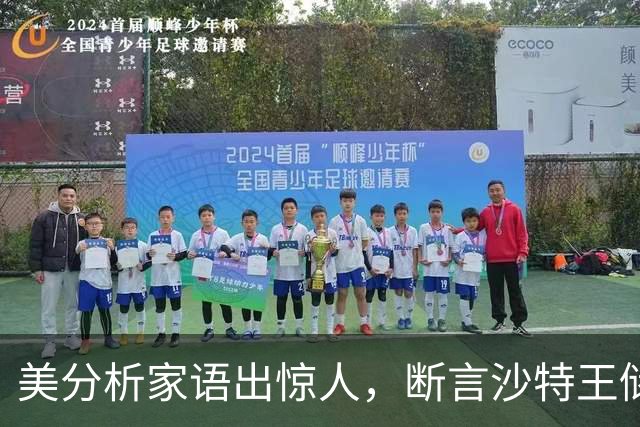 美分析家语出惊人，断言沙特王储 "必然垮台"，最坏结果恐遭处决