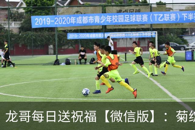 龙哥每日送祝福【微信版】：菊绽重阳添福寿，心怀孝念护安康