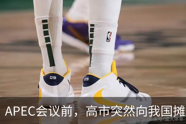 APEC会议前，高市突然向我国摊牌，提及台湾问题，信号非常不简单